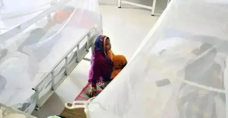 ডেঙ্গুতে মৃত্যু ৩০০ ছুঁইছুঁই